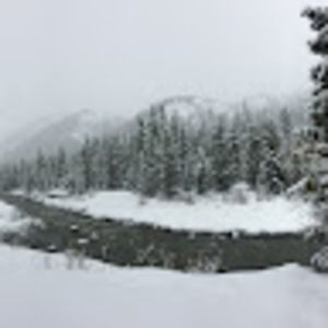 Meet your Posher, Dustin